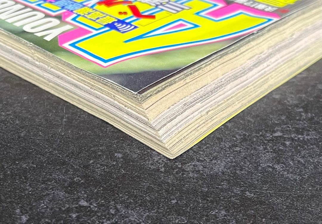 ●ヤングアニマル 1996年 No.18 ●巻頭カラー···ベルセルク 第87話