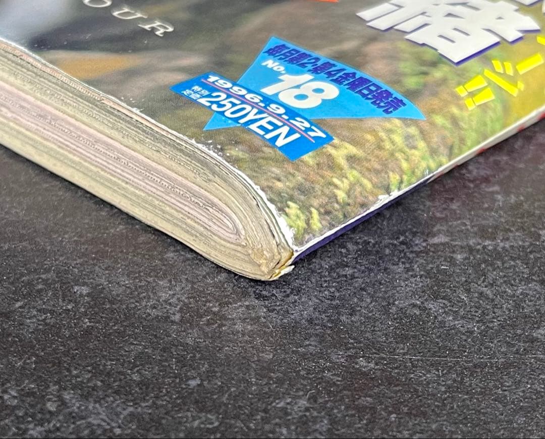 ●ヤングアニマル 1996年 No.18 ●巻頭カラー···ベルセルク 第87話