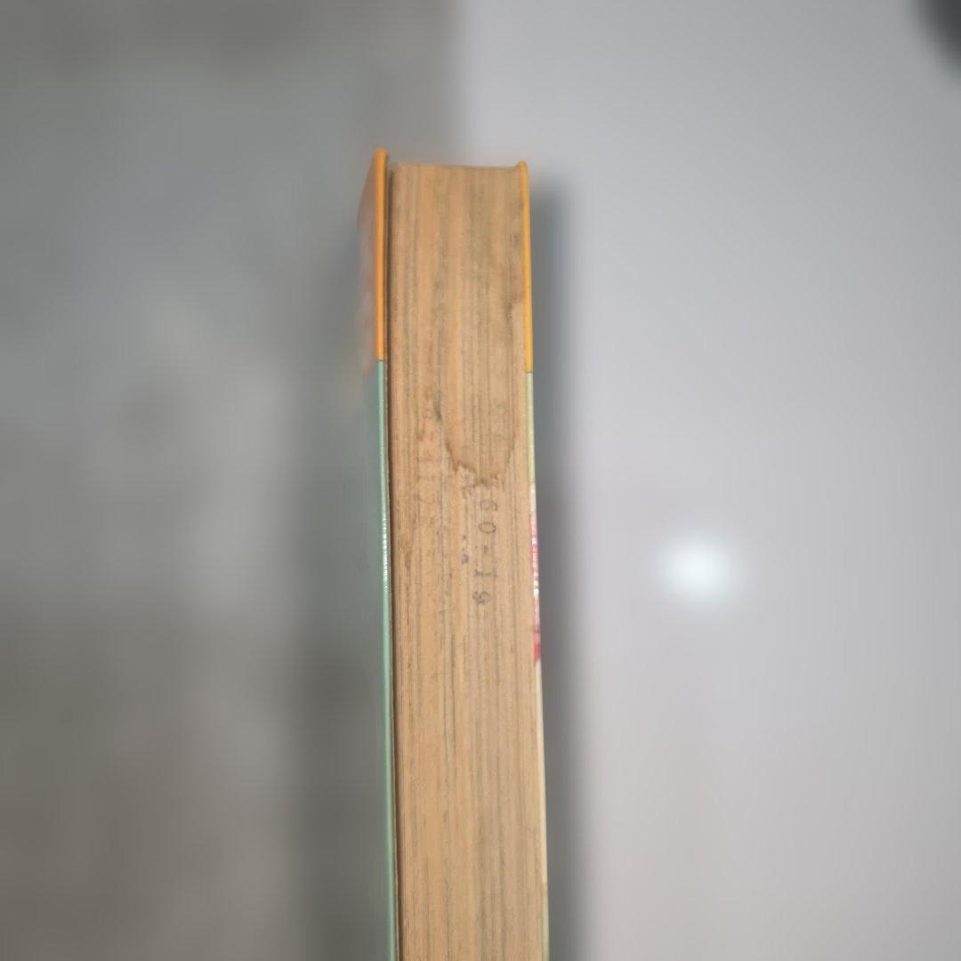 天上の虹　持統天皇物語　里中満智子　中古　全巻セット　23巻完結　【レア商品】