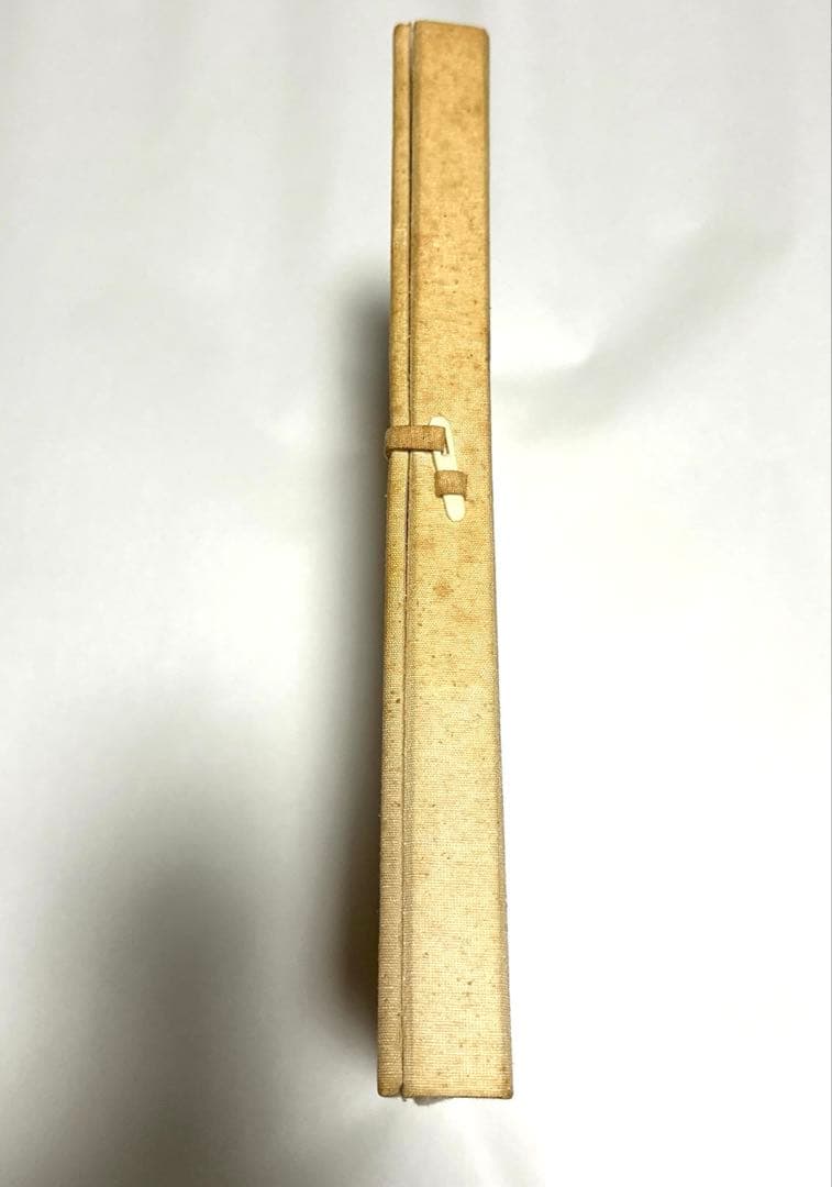 ダニエル・オスト スーパーデモンストレーションインジャパン作品集　非売品