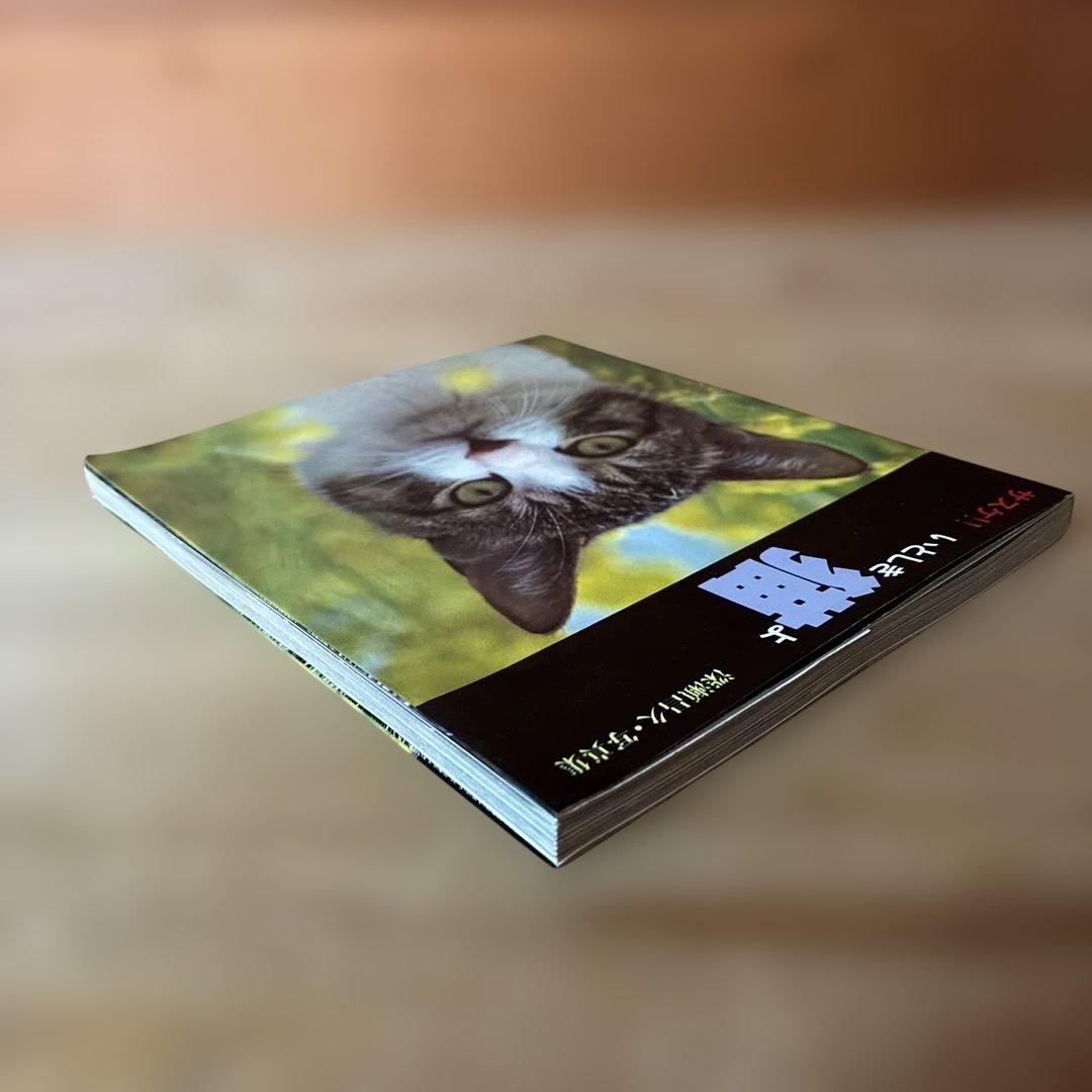 深瀬昌久　サスケ!!いとしき猫よ　写真集