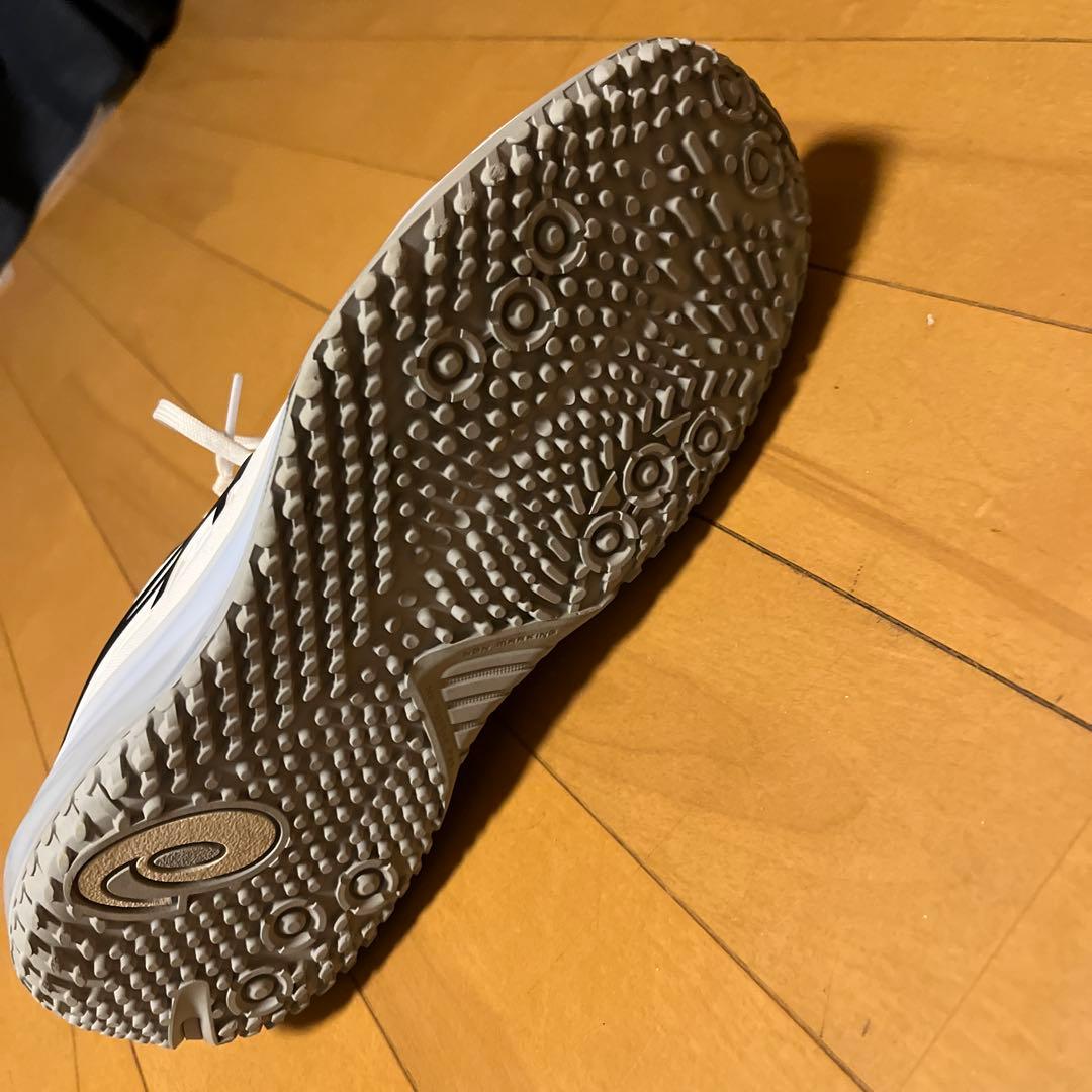 アシックス ゲルレゾリューション10 2E 25.5センチ