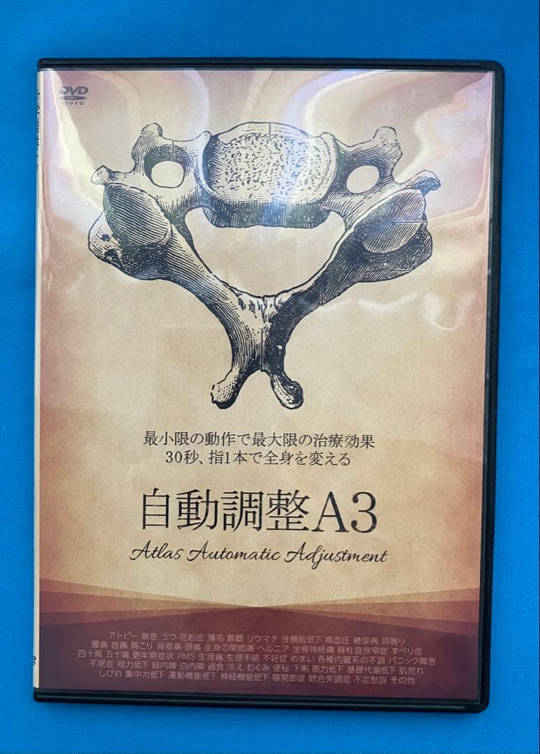 篠崎真樹先生　硬膜整体D2 +自動調整A3 +特典DISC