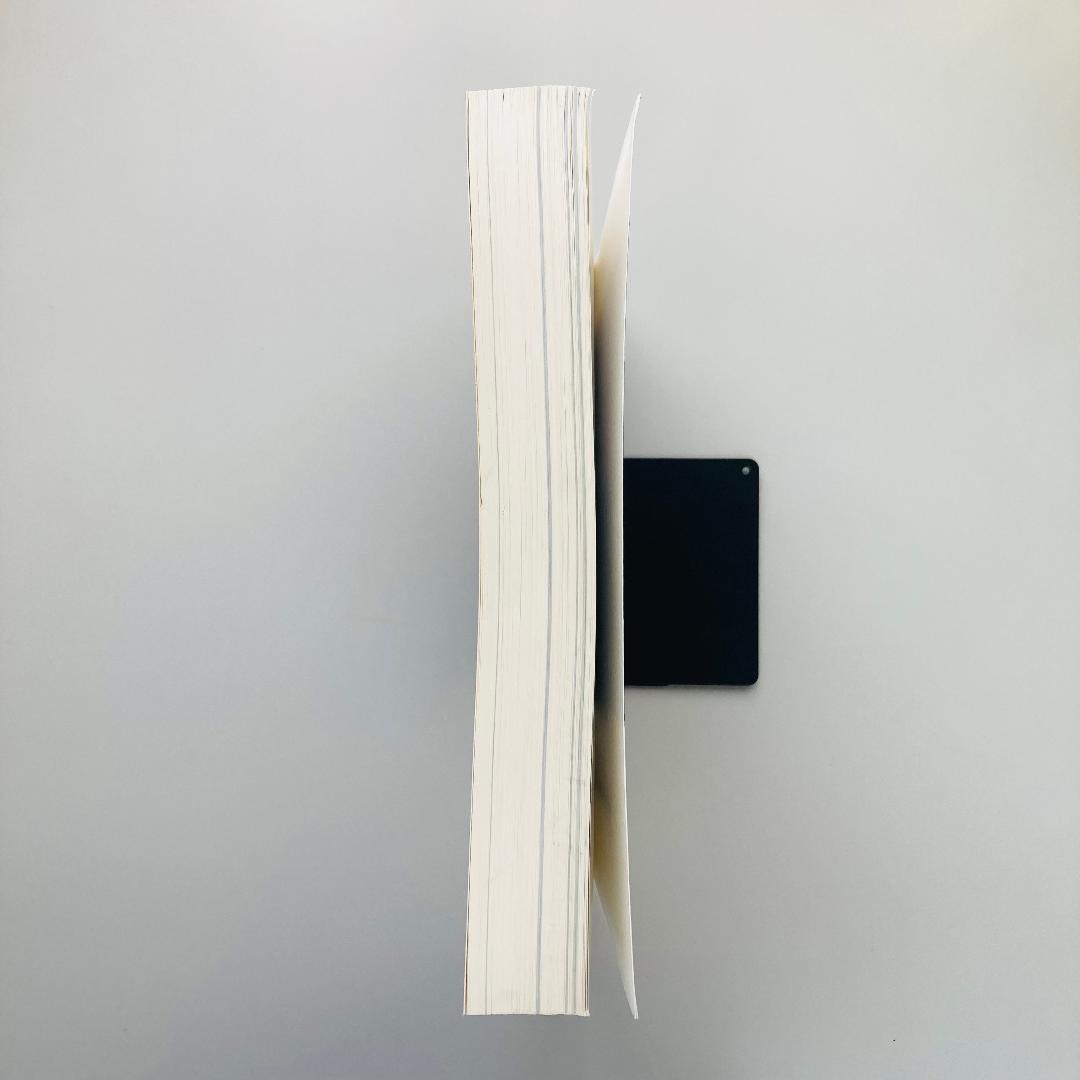 【洋書・専門書】DNA Microarrays