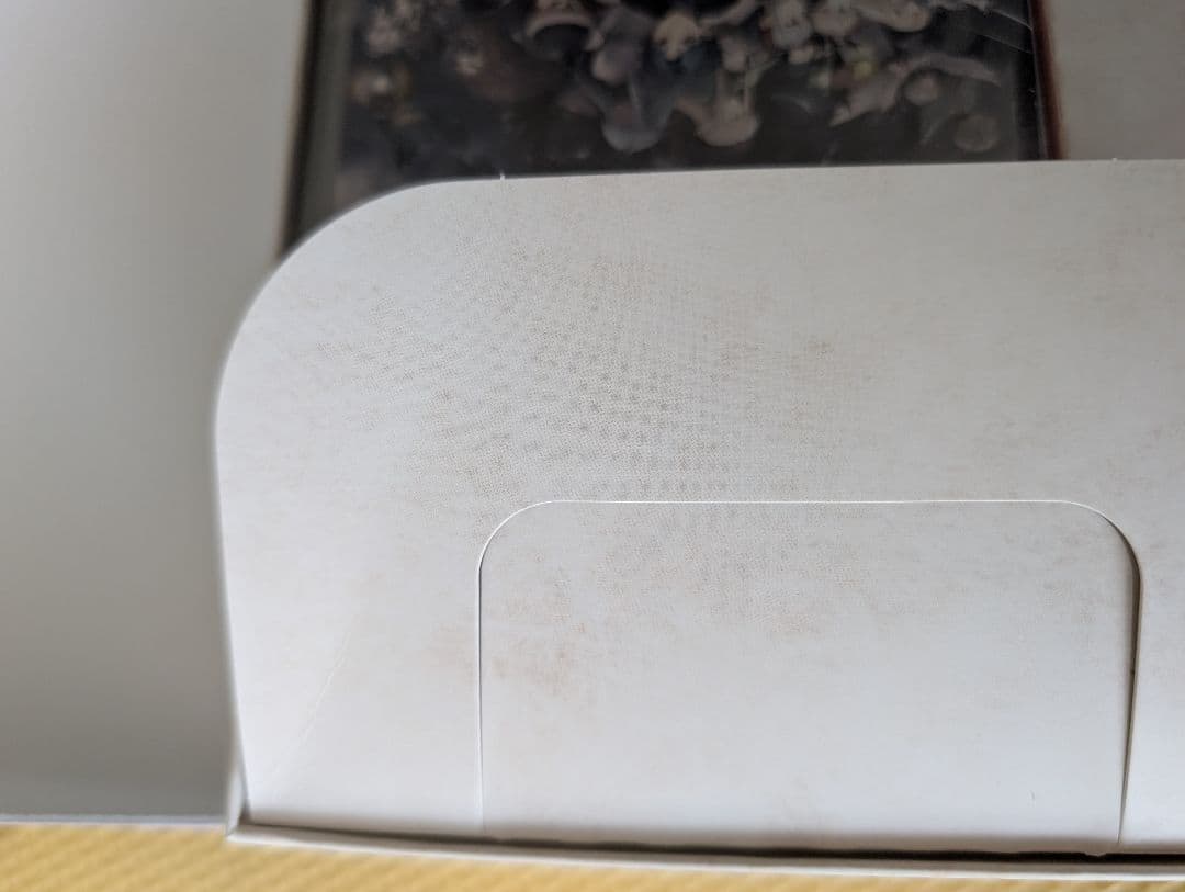 未使用Switch ユニコーンオーバーロード モナークエディション