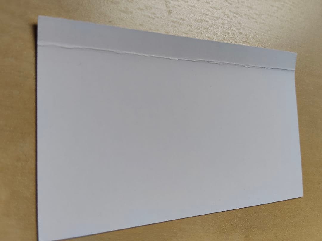 THE NOVEMBERS『ROSES』中古