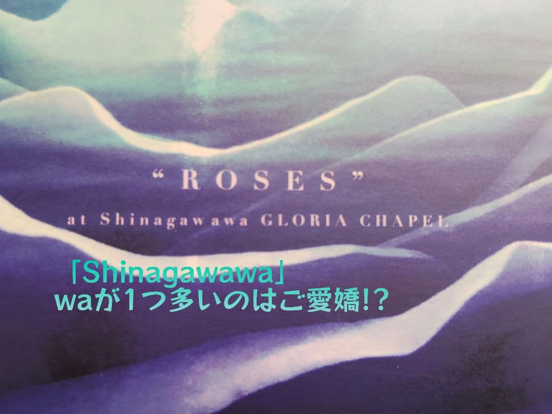 THE NOVEMBERS『ROSES』中古