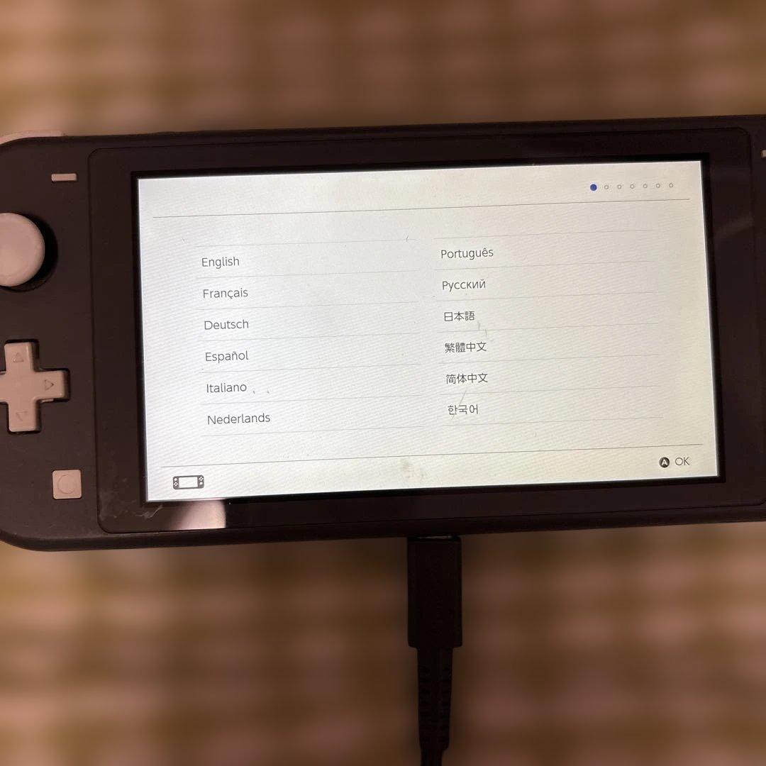 Nintendo Switch Lite グレー　一部難あり