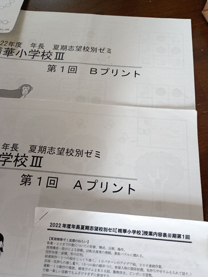 理英会2022 夏季志望校別ゼミ精華小学校+分野別単科講習フルセットお受験難関校