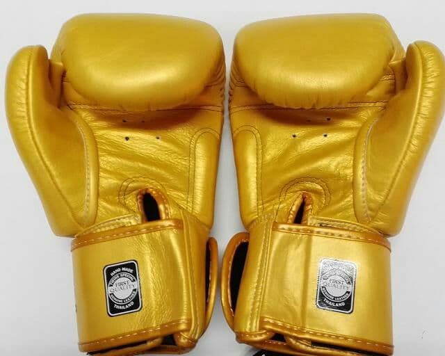 新品 正規 TWINS 本格ボクシンググローブ 本革製 サイズ選択 金色