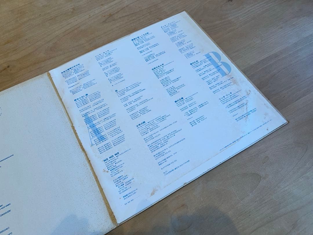 ザ・ブルーハーツ 1th アナログLP　ダンボールジャケット