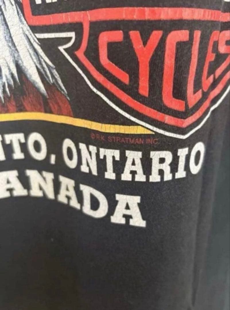 Harley-Davidson ハーレー イーグルフェイス T L