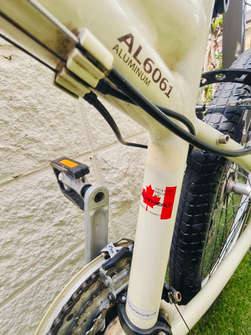 LOUIS GARNEAU マウンテンバイク 26インチ 21段変速