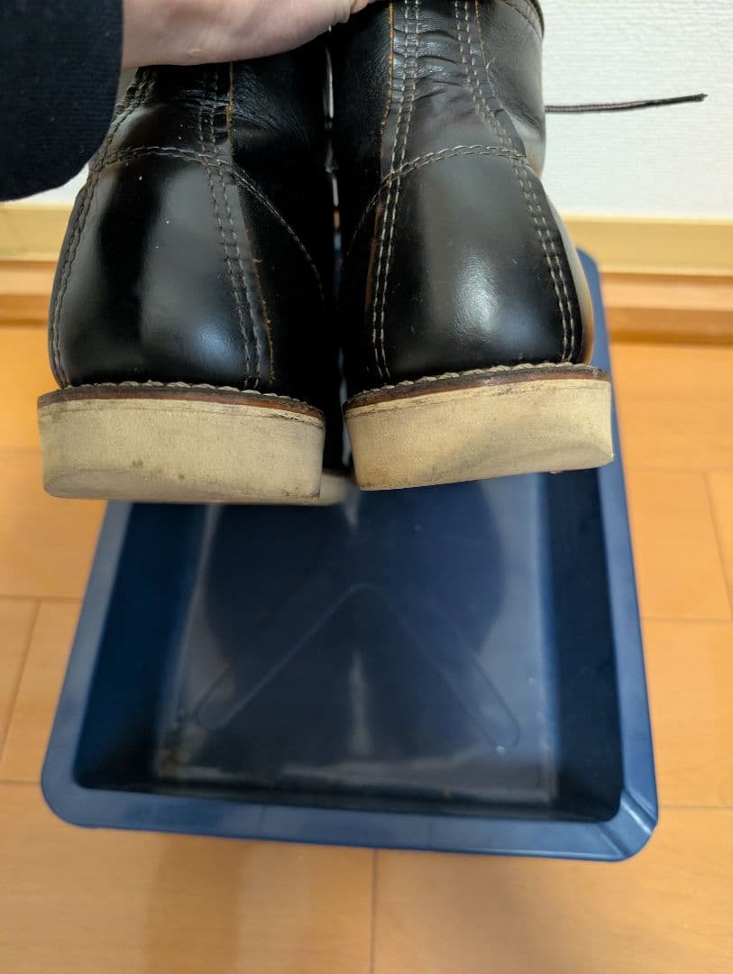 k*5様 レッドウィング　9874　8D26センチ