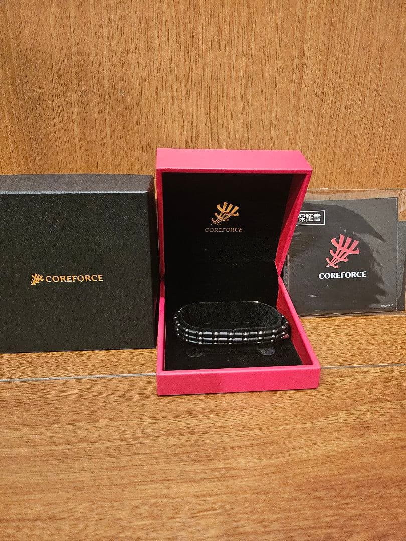 COREFORCE ブラック アクセサリー