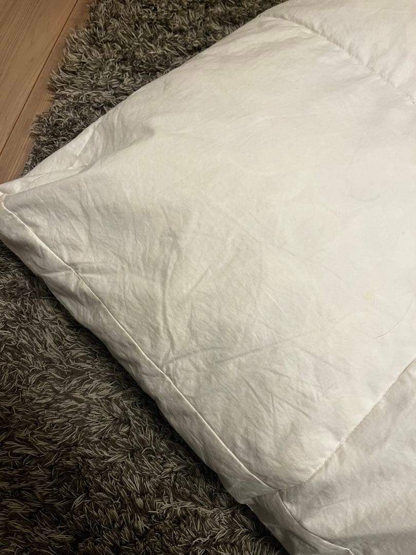 B&B Italia クッション　Charles チャールズ