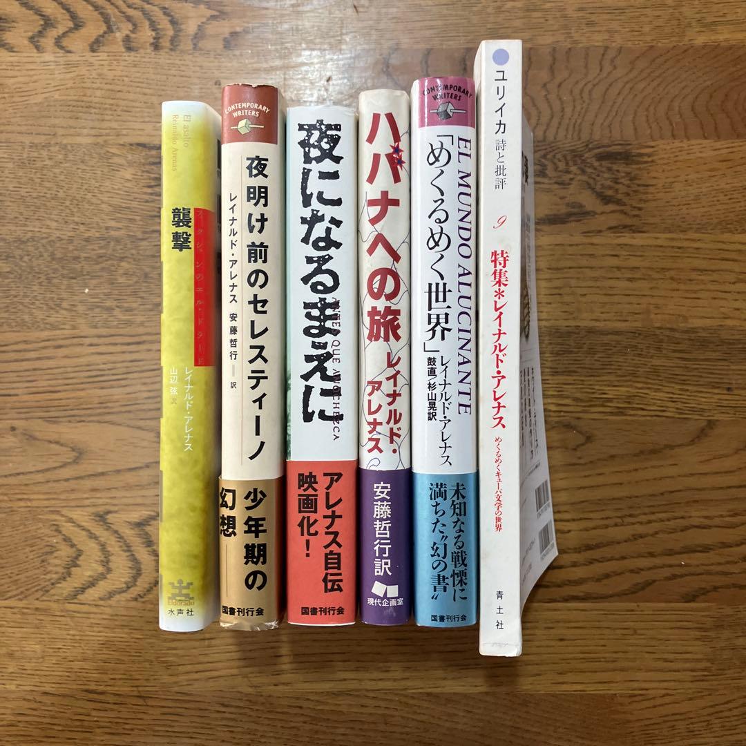レイナルド•アレナス6冊セット
