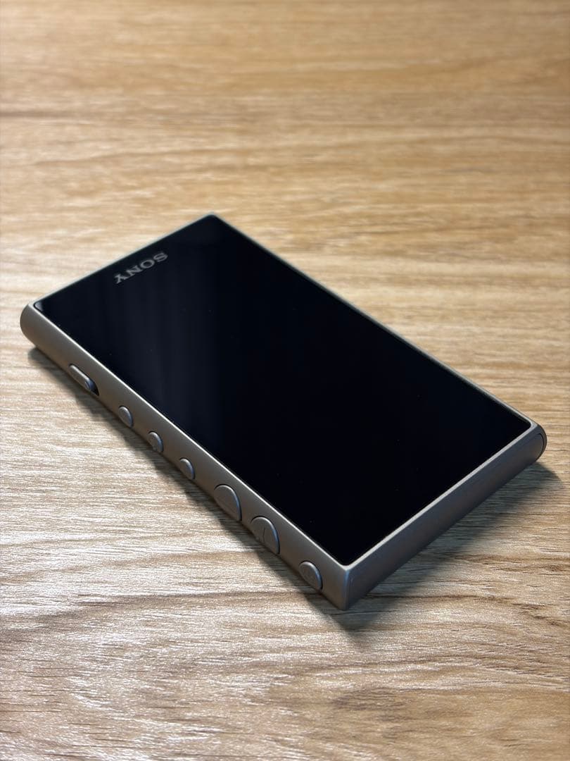 SONY ソニー WALKMAN（ウォークマン） NW-A105 / 16GB