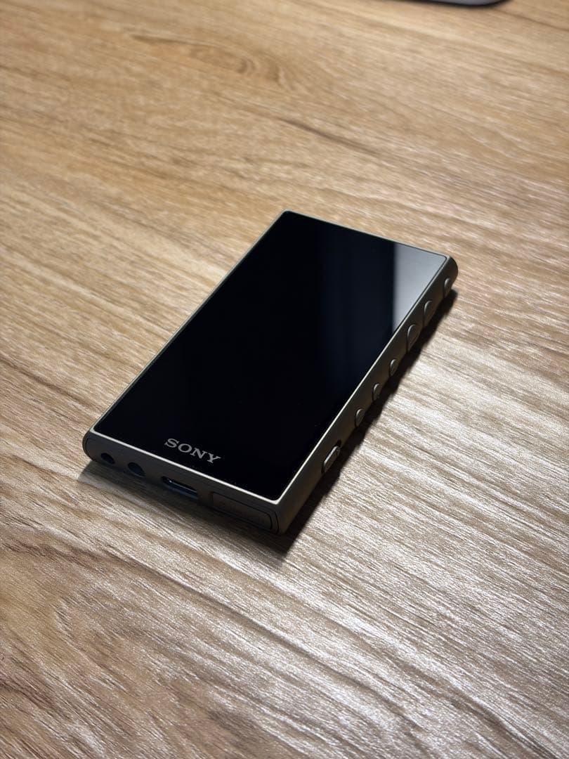 SONY ソニー WALKMAN（ウォークマン） NW-A105 / 16GB