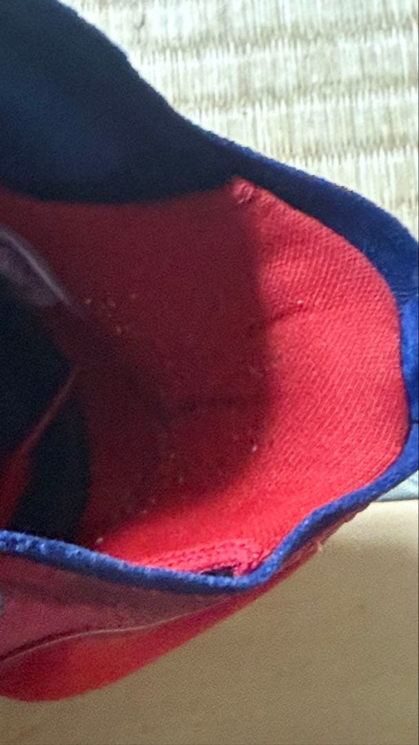 Nike Air Zoom GT Run USAカラー 28.5cm