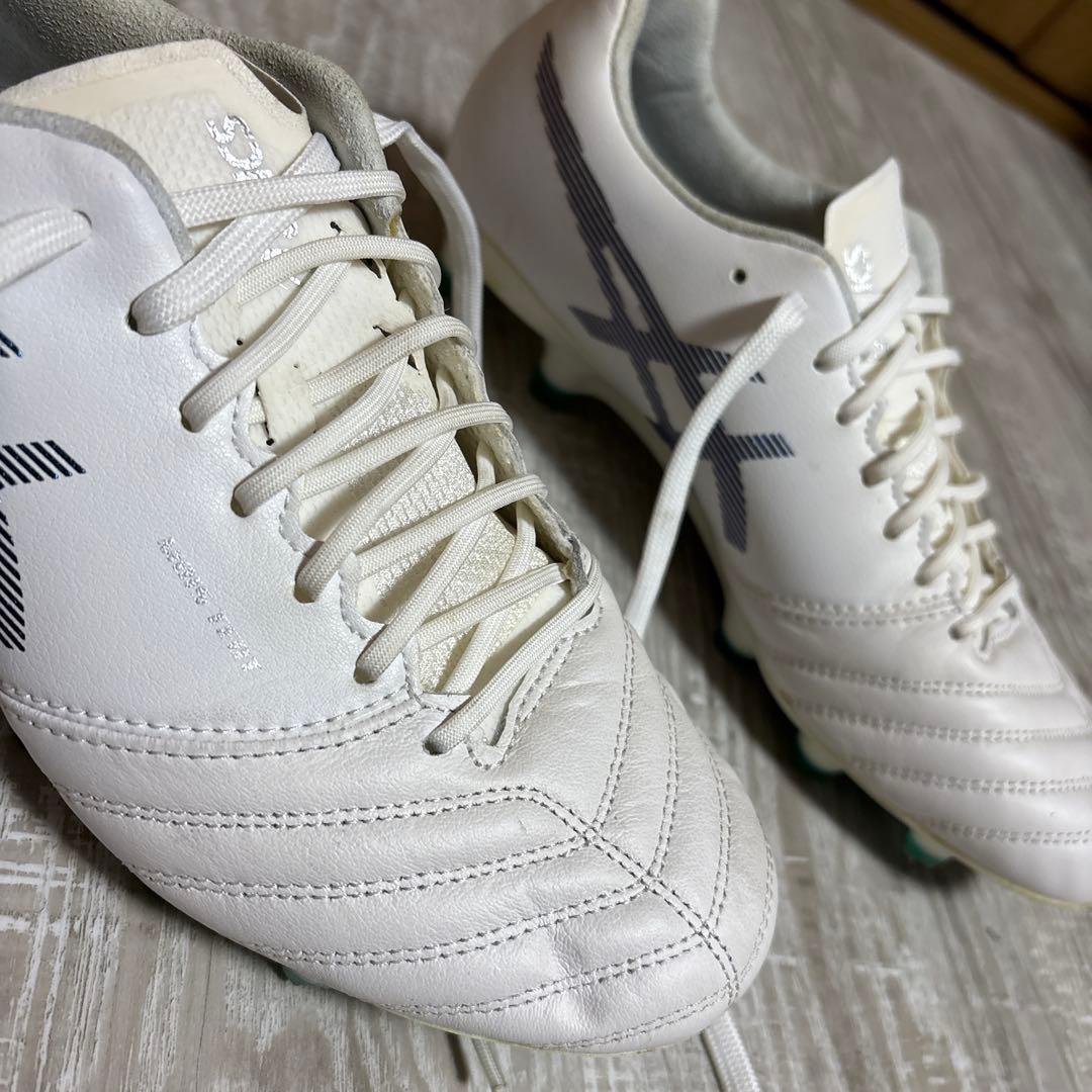 アシックス　DS LIGHT X-FLY PRO 25.0cm