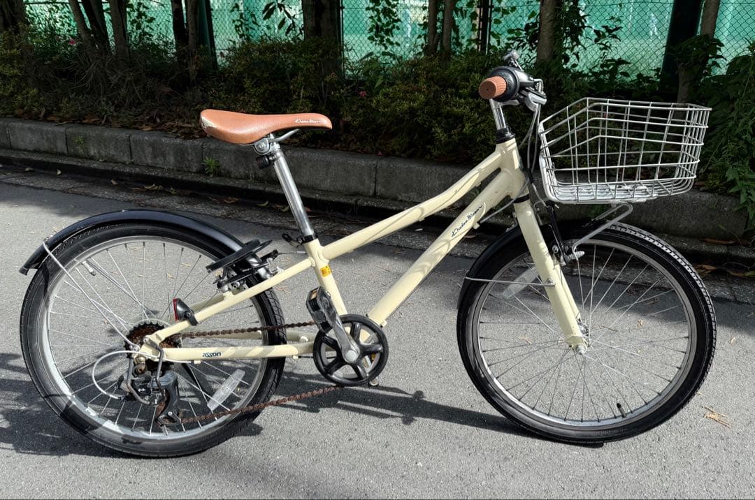 【コーダブルーム Asson J22／22インチ】マットグレーベージュ