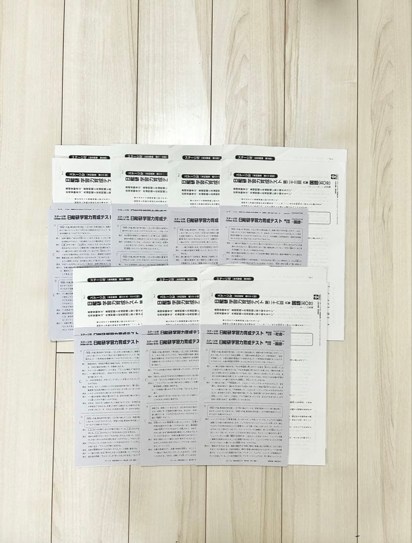 日能研 育成テスト★小6【2022年度 前期】欠品なし★6年生