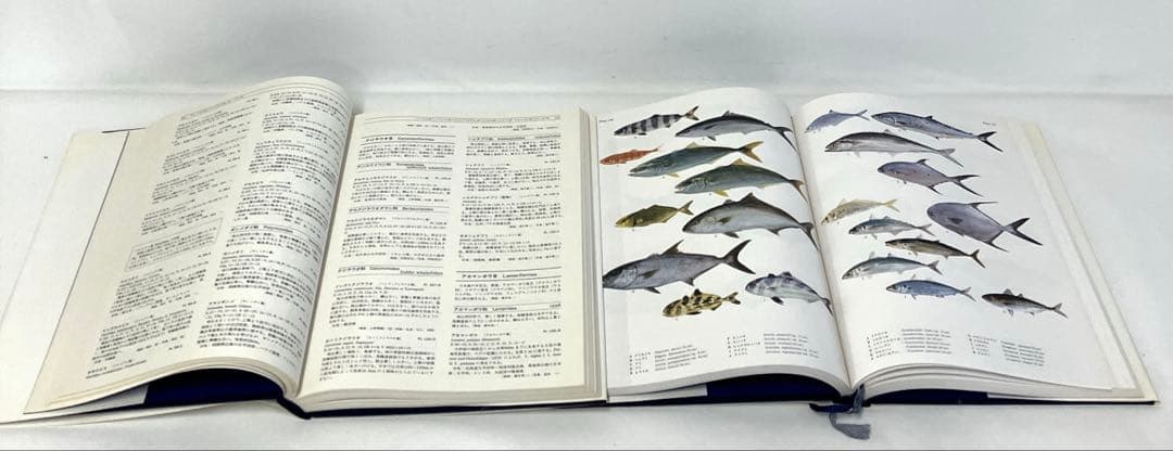 日本産魚類大図鑑 東海大学出版会か 出版 全2巻構成〈解説〉〈図版〉古本