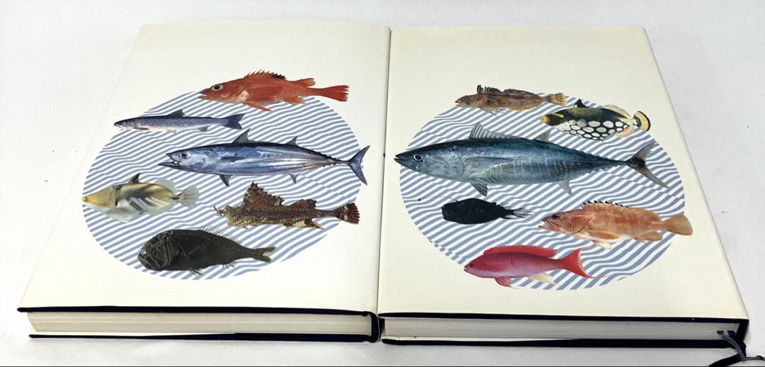 日本産魚類大図鑑 東海大学出版会か 出版 全2巻構成〈解説〉〈図版〉古本