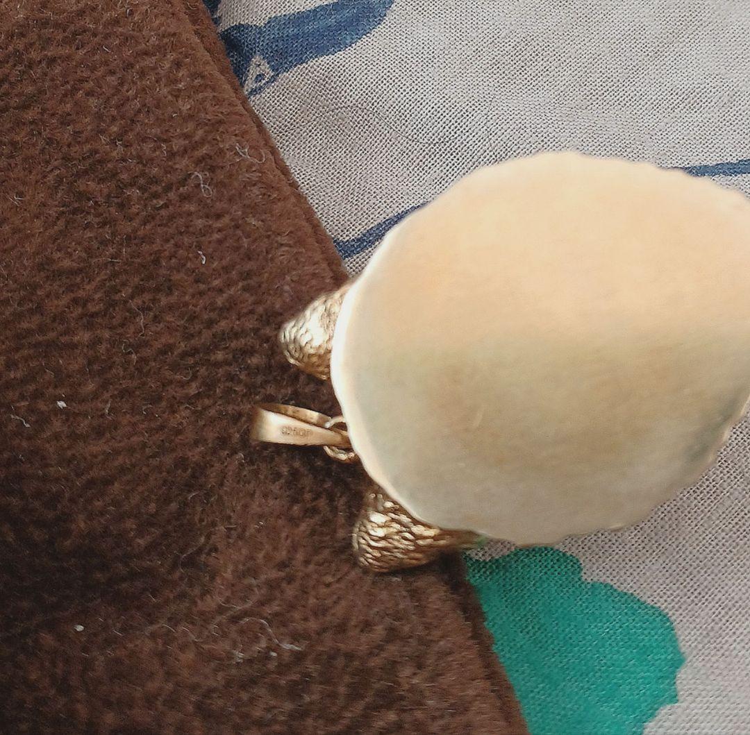 ピモンテ　PIMENTEアニマルチャーム