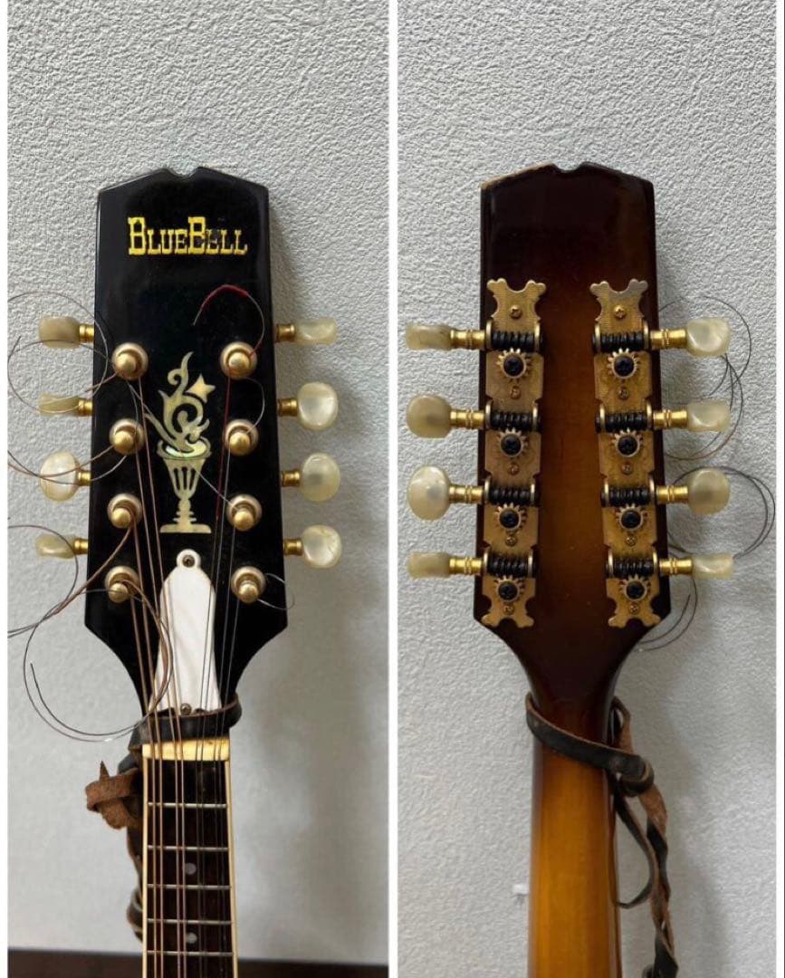 希少1970年代 Bluebell(ブルーベル)フラットマンドリン/ Hケース付