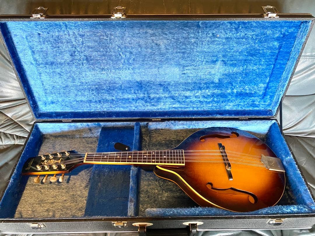 希少1970年代 Bluebell(ブルーベル)フラットマンドリン/ Hケース付