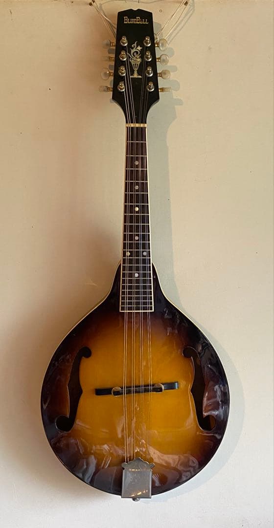 希少1970年代 Bluebell(ブルーベル)フラットマンドリン/ Hケース付