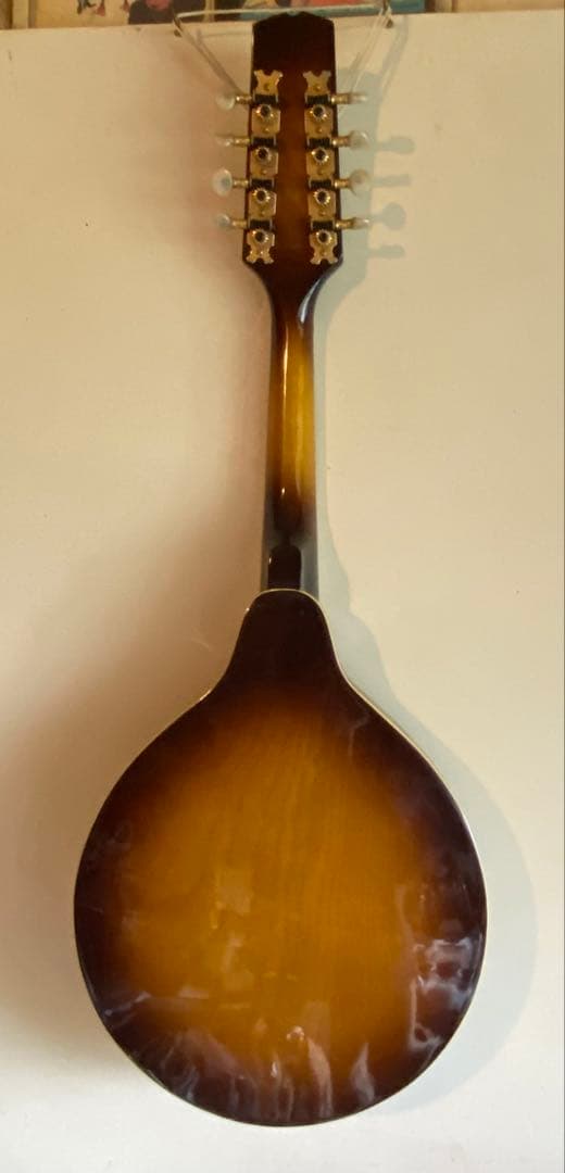 希少1970年代 Bluebell(ブルーベル)フラットマンドリン/ Hケース付