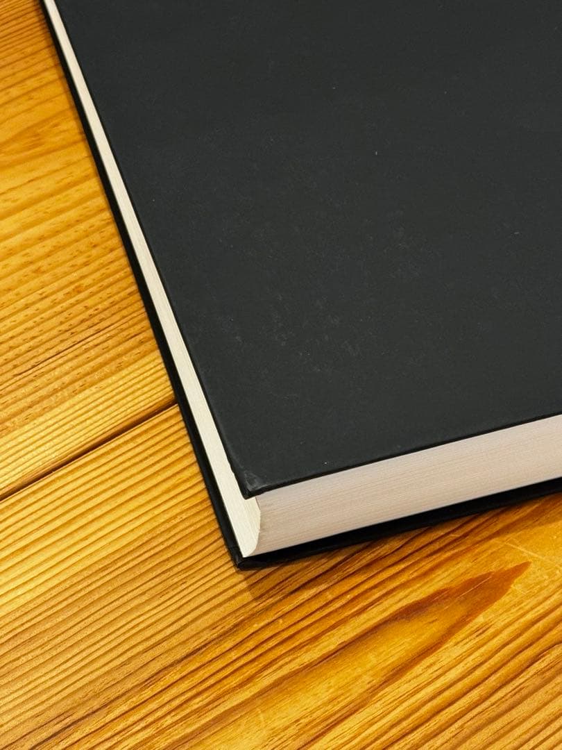 アート・デザイン・音楽 ANTIOINE D'AGATA ANTIBODIES