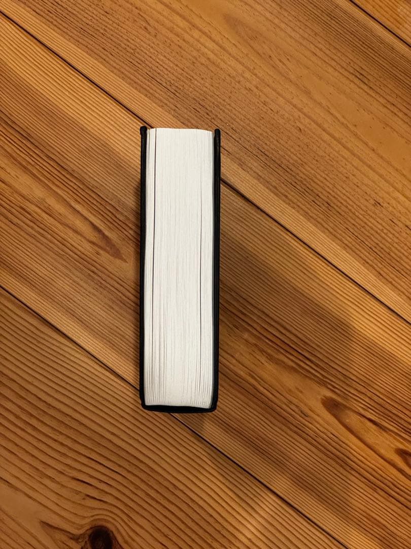 アート・デザイン・音楽 ANTIOINE D'AGATA ANTIBODIES