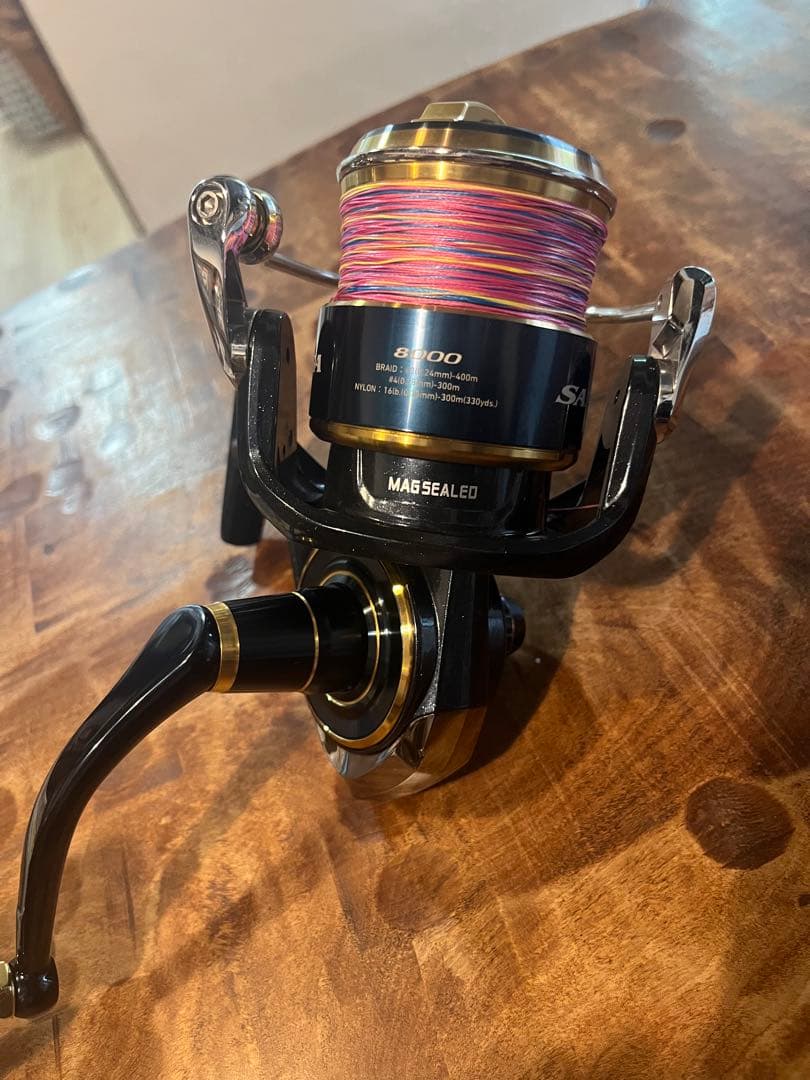 DAIWA SALTIGA ダイワ20ソルティガ8000 H