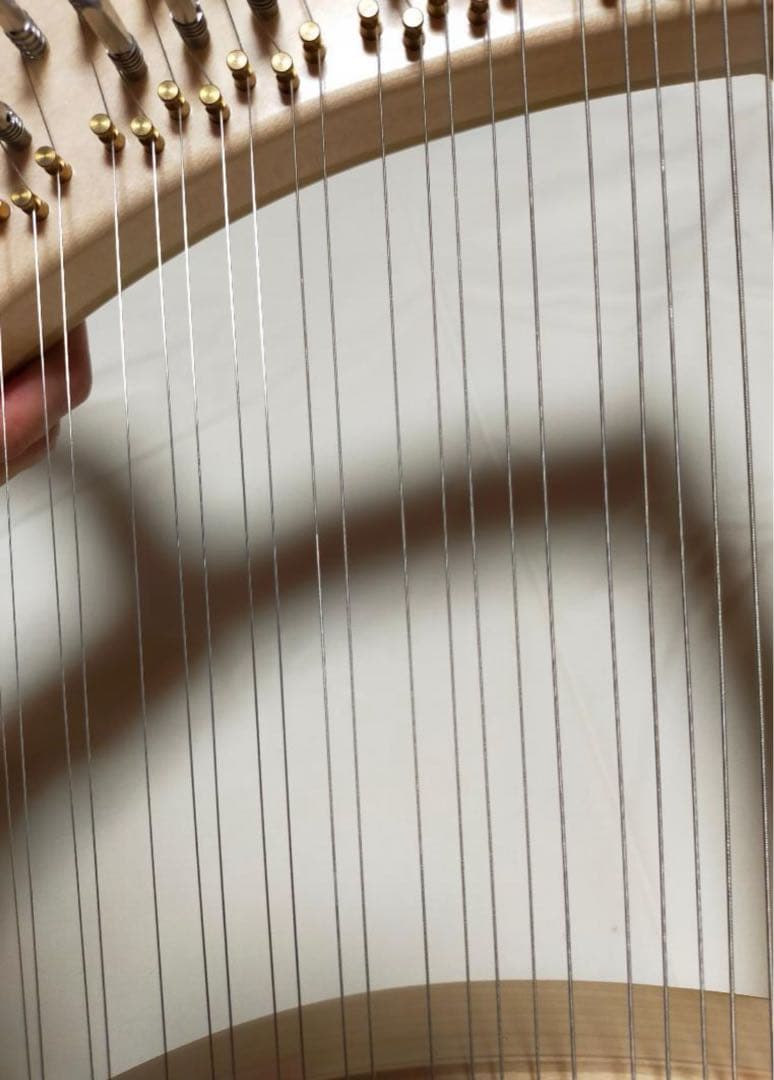 【美品】SANSOライアー　37弦　タイプⅠ ケース2種付き