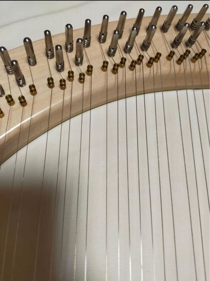 【美品】SANSOライアー　37弦　タイプⅠ ケース2種付き