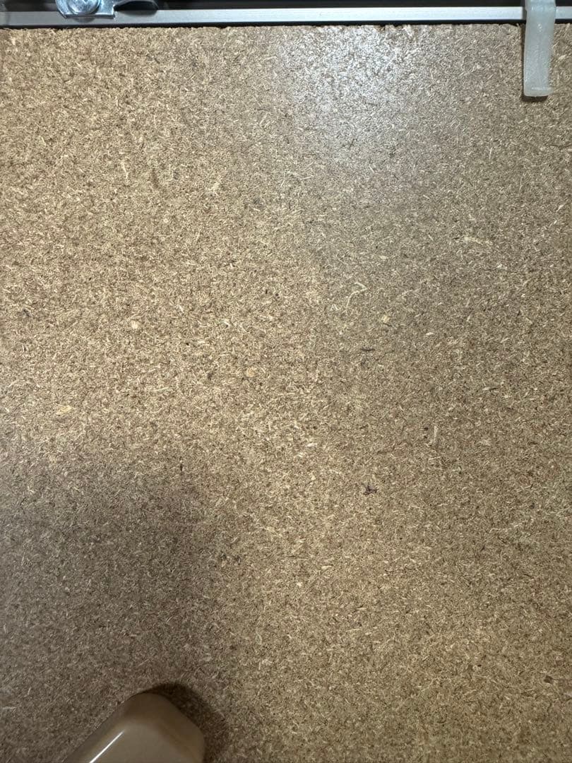 中島宏之　150HR記念　フォトパネル