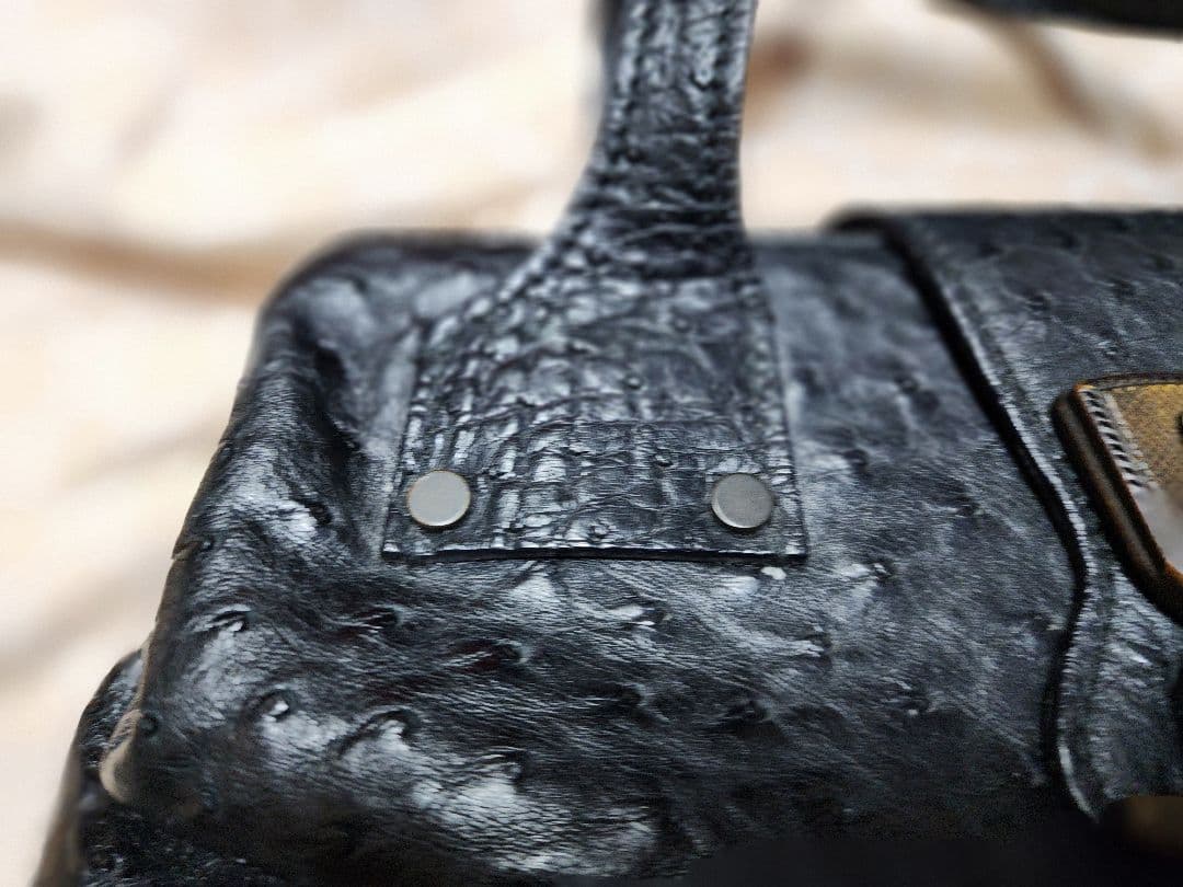 Gucci希少!ミニオーストリッチレザー ハンドバッグ 黒