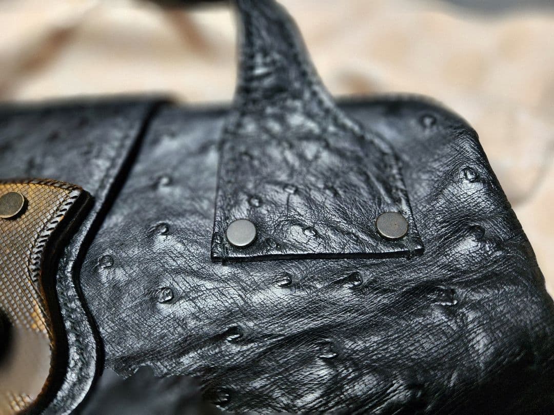 Gucci希少!ミニオーストリッチレザー ハンドバッグ 黒