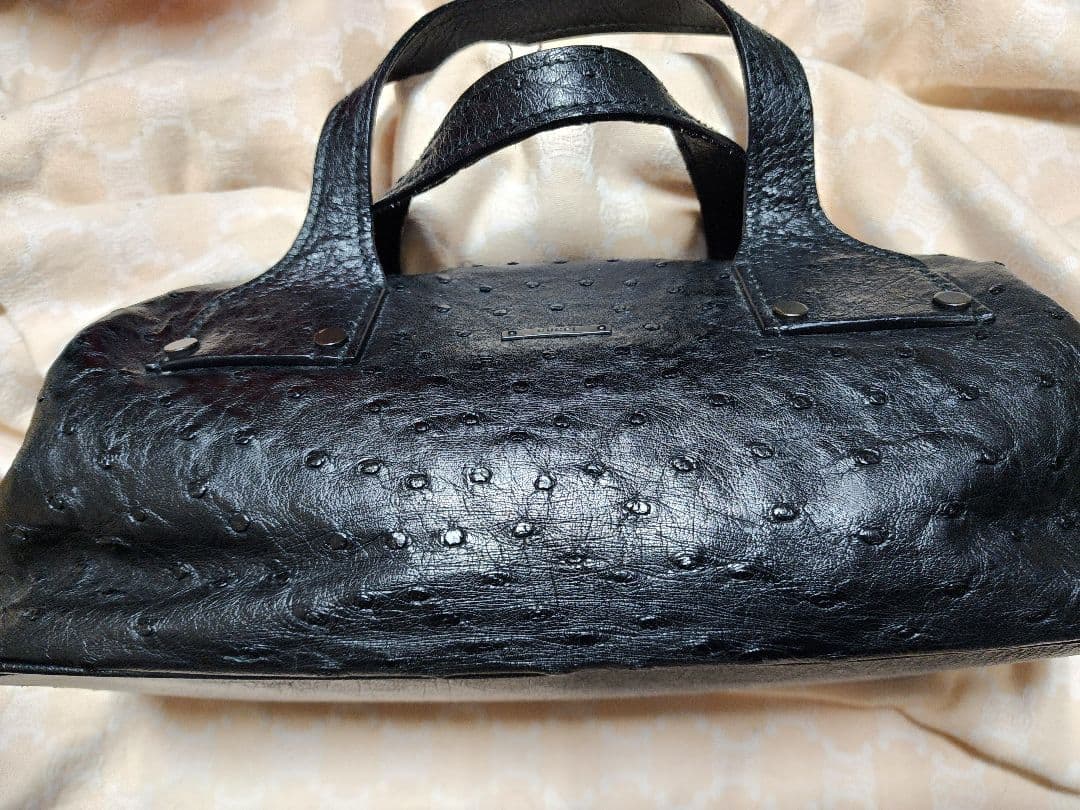 Gucci希少!ミニオーストリッチレザー ハンドバッグ 黒