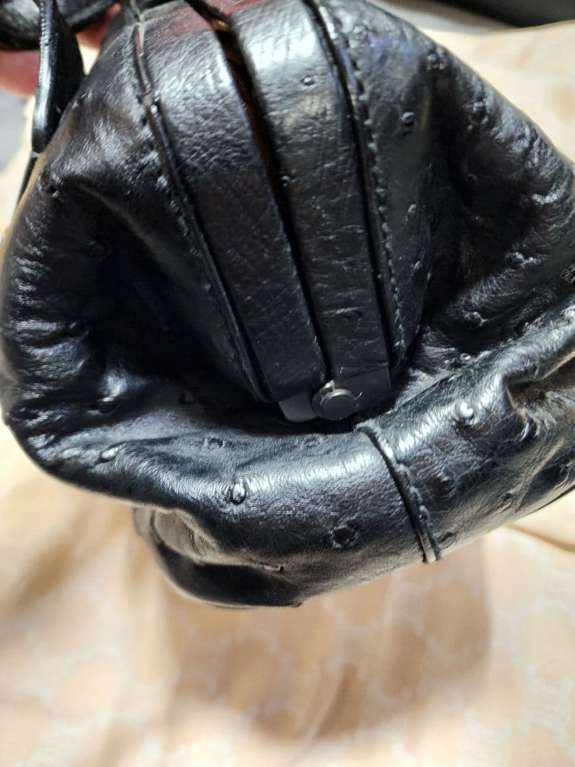 Gucci希少!ミニオーストリッチレザー ハンドバッグ 黒