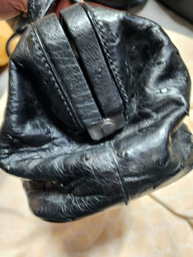 Gucci希少!ミニオーストリッチレザー ハンドバッグ 黒