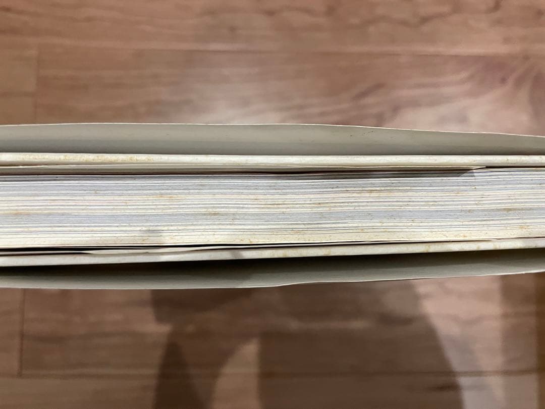 「淫剣花」佐伯俊男 河出書房新社 2001年初版 署名／サイン