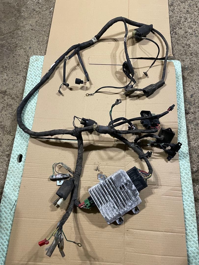 山小屋　af58 ズーマー FI インジェクション車 ハーネスのみ