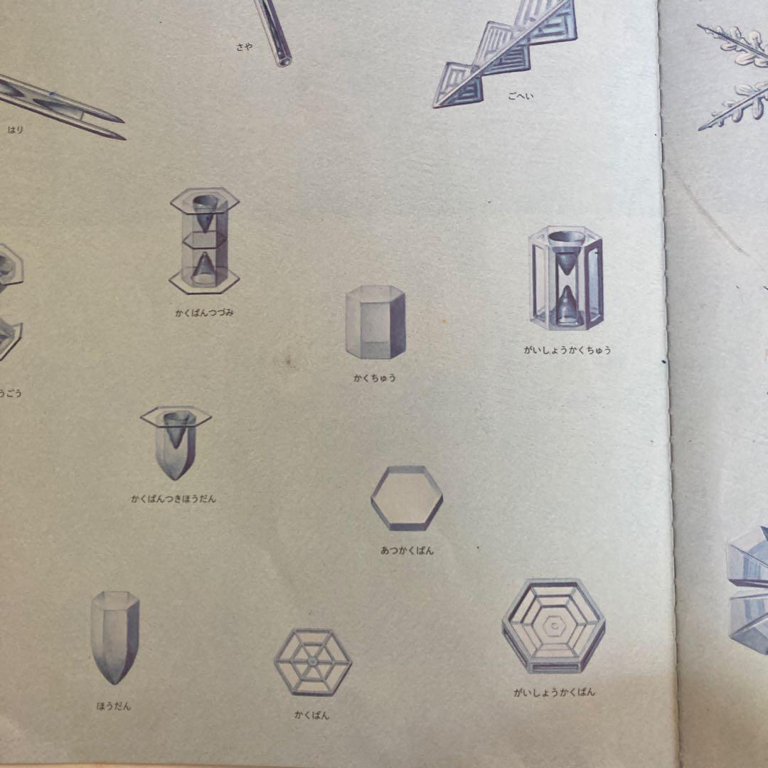 いきものづくし 1-12巻セット