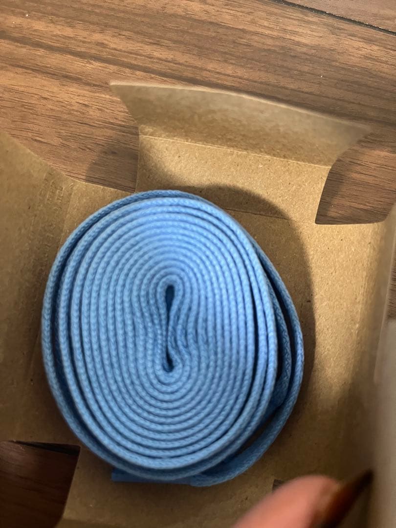 NIKE Air Jordan 1 ユニバーシティブルー