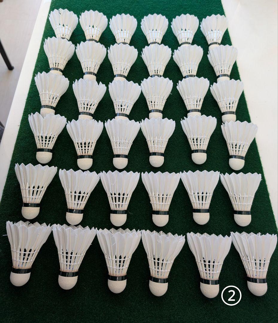 NEW OFFICIAL F4 10ダース